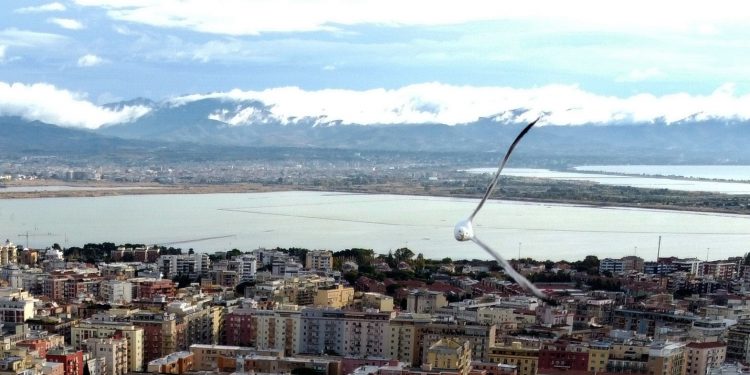 Il gabbiano in volo su Cagliari