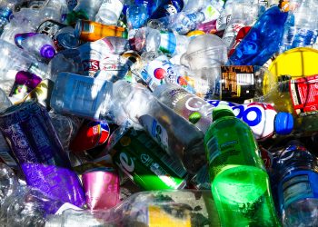 Il mondo che verrà, in bilico tra plastica e speranze