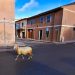 La pecora e il lockdown