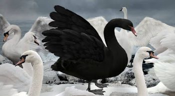 L’esperienza insegna. A incasellare eventi e standardizzarli