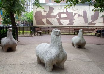 Cavallini di Nivola al Stephen Wise Recreation Area