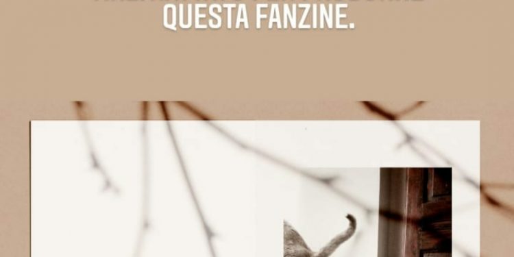 Kittens, scatti solidali per amici felini