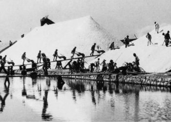 Leggi il passato e immagina il futuro: il progetto di Artisti Fuori Posto per i ragazzi al Parco di Molentargius