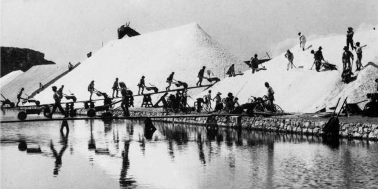 Leggi il passato e immagina il futuro: il progetto di Artisti Fuori Posto per i ragazzi al Parco di Molentargius