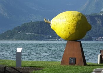 Un inno alla natura e alla vita, le Germinazioni di Giuseppe Carta in mostra a Iseo
