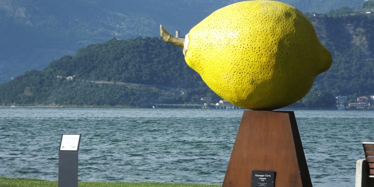 Un inno alla natura e alla vita, le Germinazioni di Giuseppe Carta in mostra a Iseo
