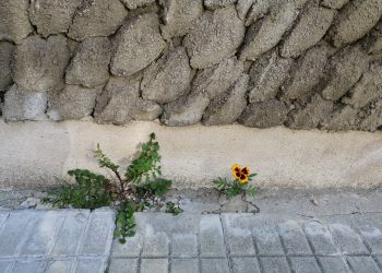 Bellezza a tutti i costi