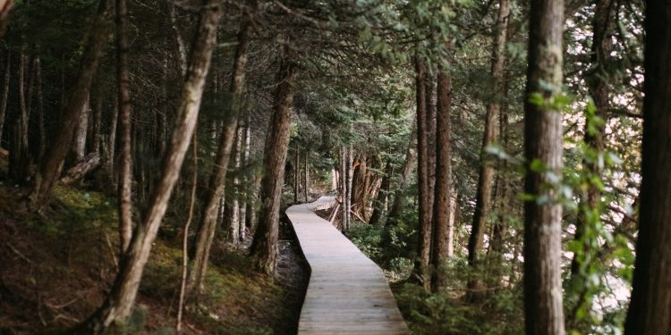 Alfabeto Interno. L come Limite