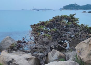 La forza della natura
