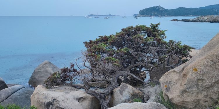 La forza della natura