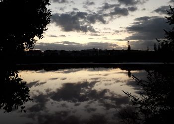 “Come se gli scorci del parco cittadino al crepuscolo si tingessero di pathos”