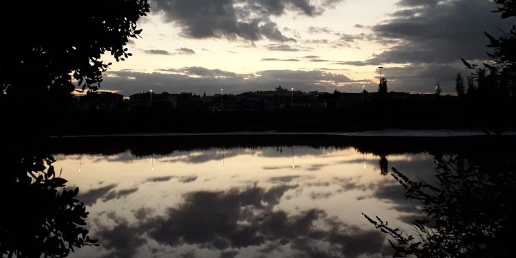 “Come se gli scorci del parco cittadino al crepuscolo si tingessero di pathos”