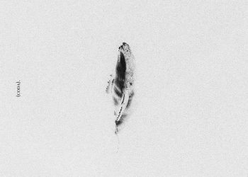 Pluhm – Senza Parole