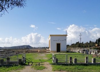 Dai fenicotteri all’archeologia industriale, il Parco di Molentargius svela i suoi tesori per Monumenti Aperti