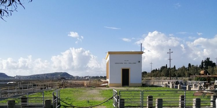 Dai fenicotteri all’archeologia industriale, il Parco di Molentargius svela i suoi tesori per Monumenti Aperti