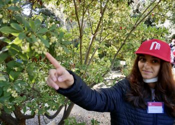 Orto Botanico Monumenti Aperti