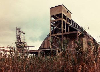 Muacc, Parco Nervi, Giardino di Scienze Economiche, ecco le  bellezze cagliaritane per la prima volta a Monumenti Aperti