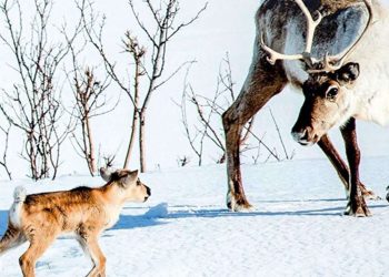 Ritorno al cinema, a Cagliari una rassegna su ambiente e diritti dedicata ai giovani