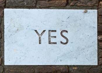 Alfabeto interno. Lettere speciali. Y come Yes-man