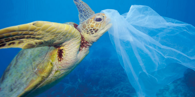 Un mare di plastica. Tre semplici passi per un 2022 più sostenibile