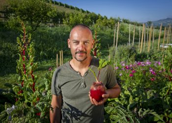 Enrico Costanza, un giardiniere cagliaritano nella cucina degli chef