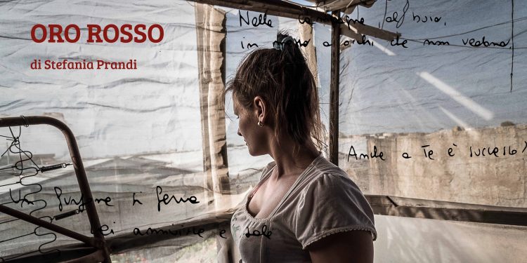 Oro rosso, cronaca di un crimine sommerso che infanga le nostre tavole, a Cagliari la mostra di Stefania Prandi