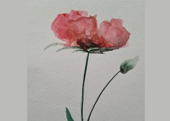 25 aprile per ricordare il passato, 25 aprile per disegnare il futuro (Irene Bosu)