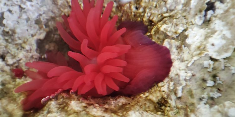 I tesori nascosti della natura