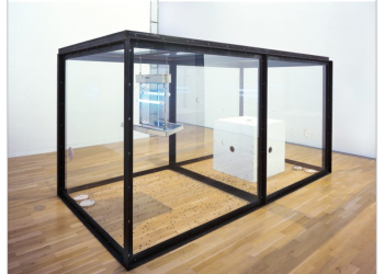 Da Hirst a Cattelan, l’arte contemporanea tra sdegno e ammirazione