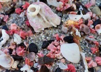 Lontano dalla luce, l’inafferrabile splendore
