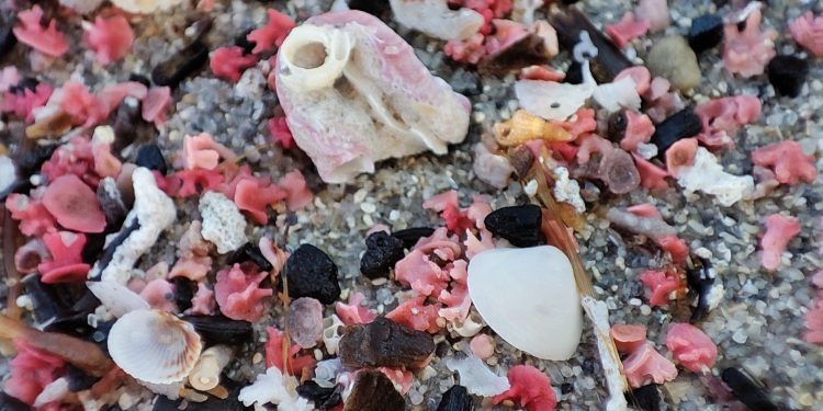 Lontano dalla luce, l’inafferrabile splendore