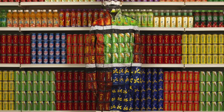 Liu Bolin - Soft Drinks, 2013