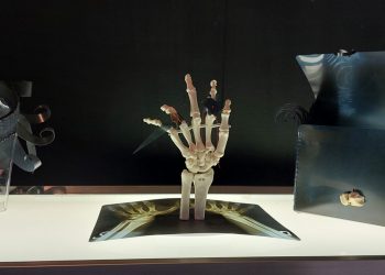 Ciò che non ti aspetti è Moda, a Cagliari la mostra che svela l’inusuale