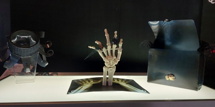 Ciò che non ti aspetti è Moda, a Cagliari la mostra che svela l’inusuale