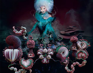Bjork – Fossora