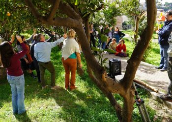 Musica delle piante e connessione con la natura, Sennori in festa per i cinquant’anni del Moscato DOC
