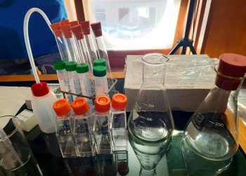 Scienza e Tecnologia a Cagliari in un festival che unisce studenti, curiosi, famiglie