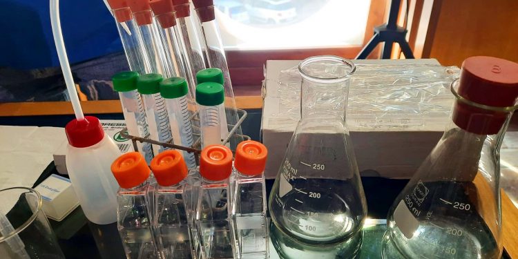 Scienza e Tecnologia a Cagliari in un festival che unisce studenti, curiosi, famiglie