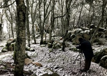 Backstage di Àrbores