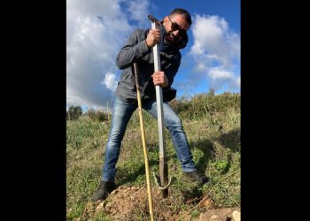 Alberi per compensare le emissioni di CO2, il festival Here I Stay è sempre più sostenibile