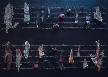 “Io sono albero”, al Ghetto di Cagliari la suggestiva mostra di Bruno Petretto svela la simbiosi tra uomo e natura