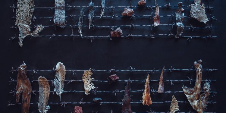 “Io sono albero”, al Ghetto di Cagliari la suggestiva mostra di Bruno Petretto svela la simbiosi tra uomo e natura