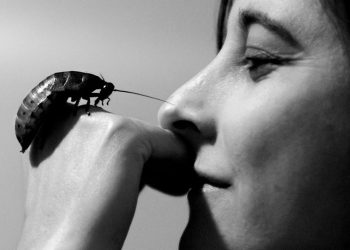 Un museo in una valigia di legno. Si chiama Minimù e dal 24 marzo fa sosta a Cagliari