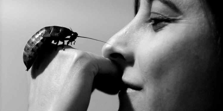 Un museo in una valigia di legno. Si chiama Minimù e dal 24 marzo fa sosta a Cagliari