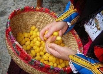 Tramas de Seda, il laboratorio museo che tramanda il giallo della seta di Orgosolo