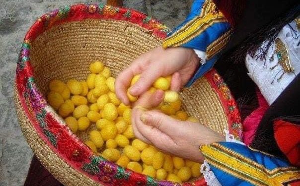 Tramas de Seda, il laboratorio museo che tramanda il giallo della seta di Orgosolo