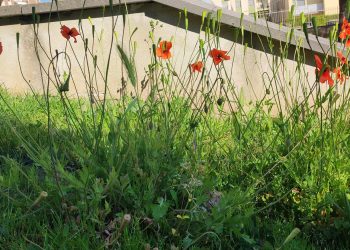 Memorie dal 1943 in due spettacoli a Cagliari alla rassegna del crogiuolo Aprile Resistente