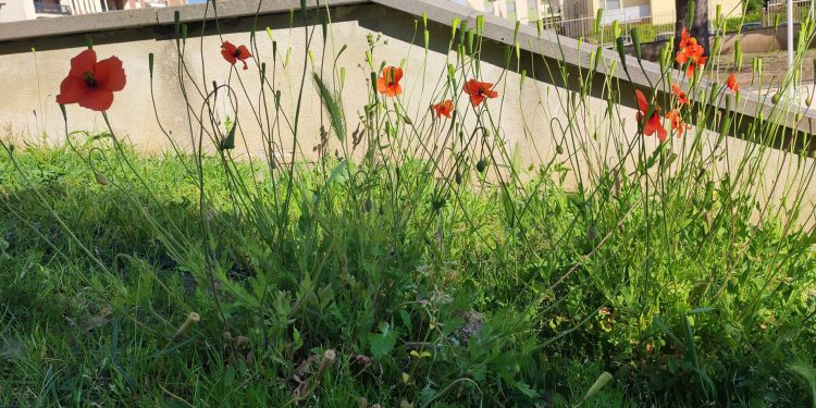 Memorie dal 1943 in due spettacoli a Cagliari alla rassegna del crogiuolo Aprile Resistente