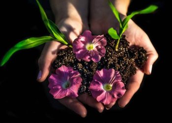 Il mondo della natura in mostra a Ussaramanna nella nuova edizione del Festival delle erbe spontanee