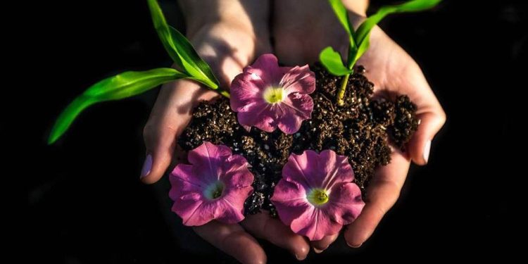 Il mondo della natura in mostra a Ussaramanna nella nuova edizione del Festival delle erbe spontanee